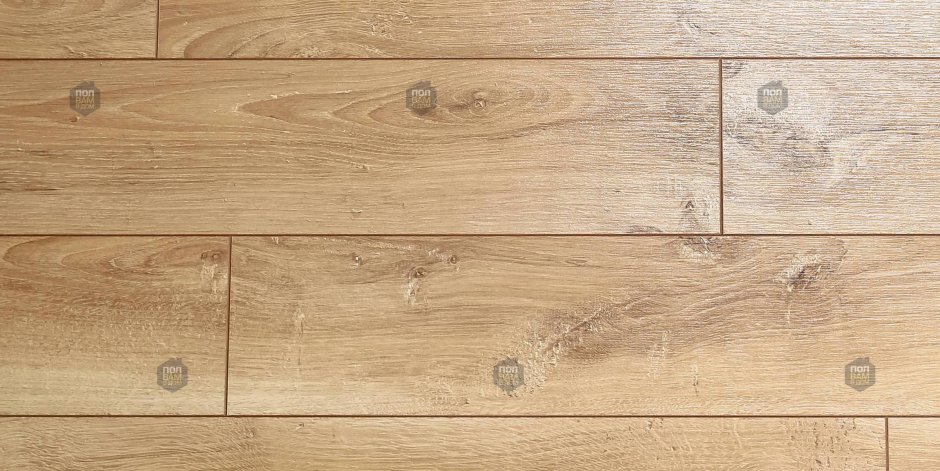 Дуб Сан Ремо грей