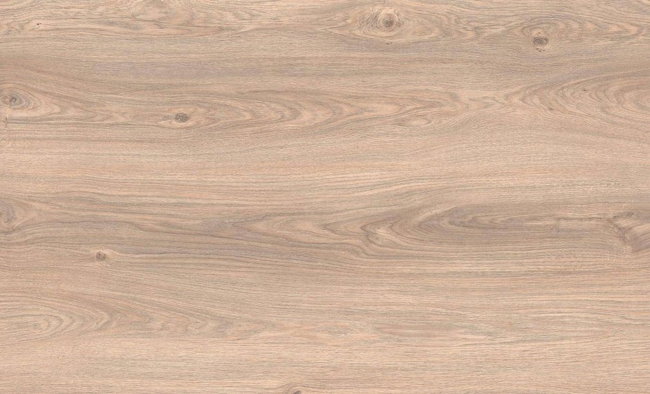 Дуб Невара выбеленный