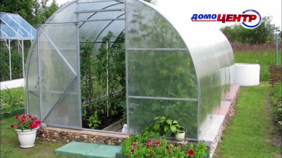 Теплица на участке