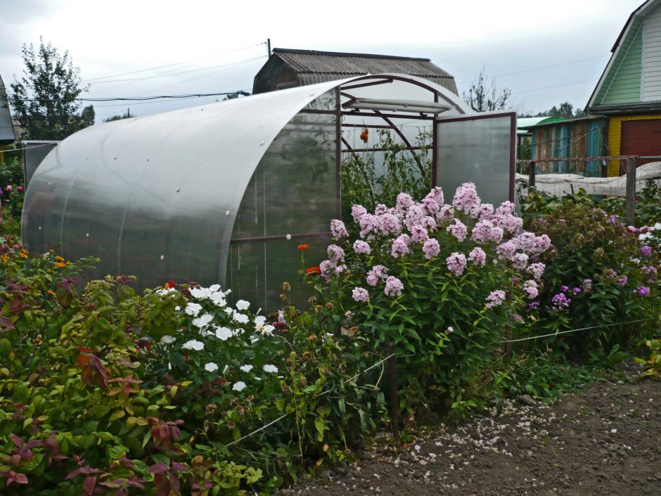 Украшение теплицы