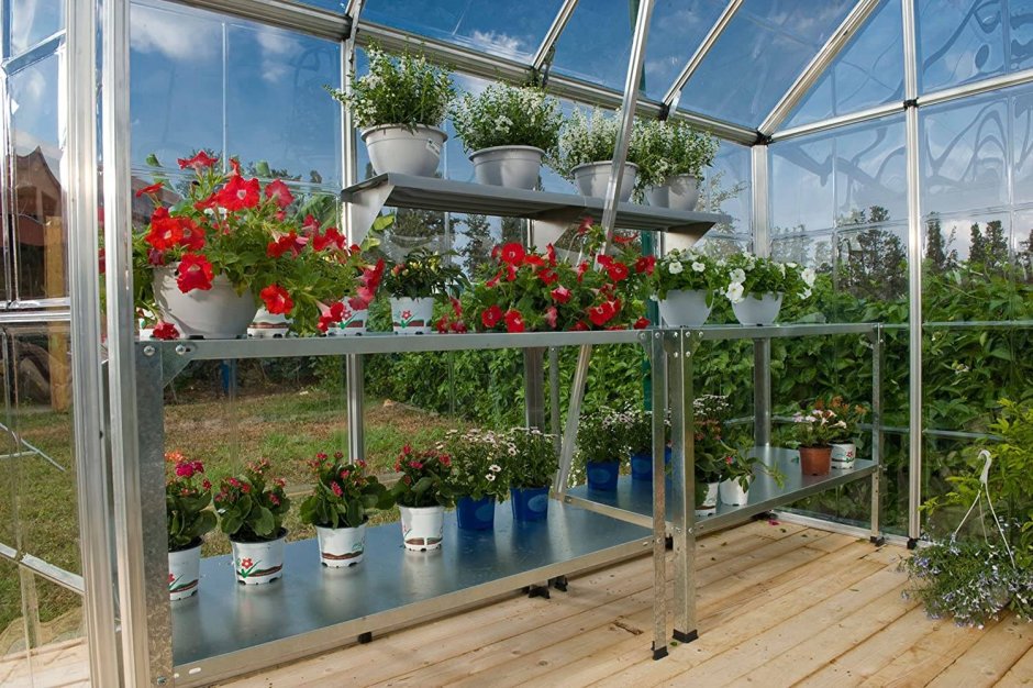 Теплица в огороде