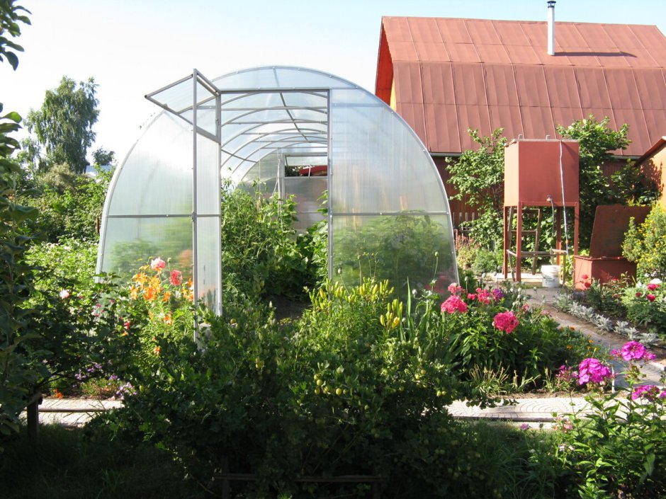 Цветник в огороде