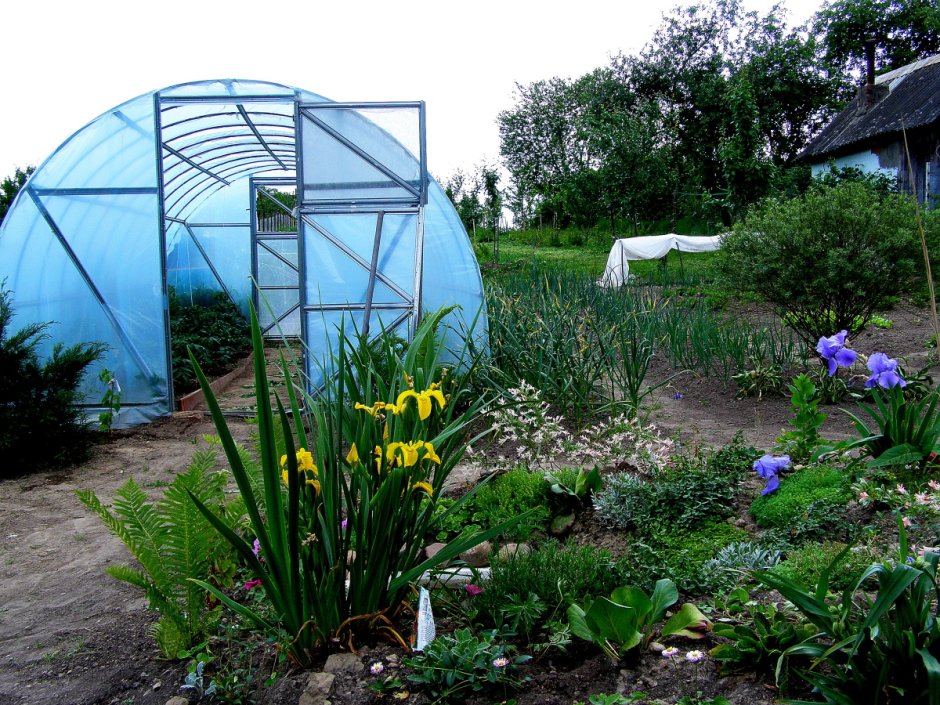 Теплица на дачном участке