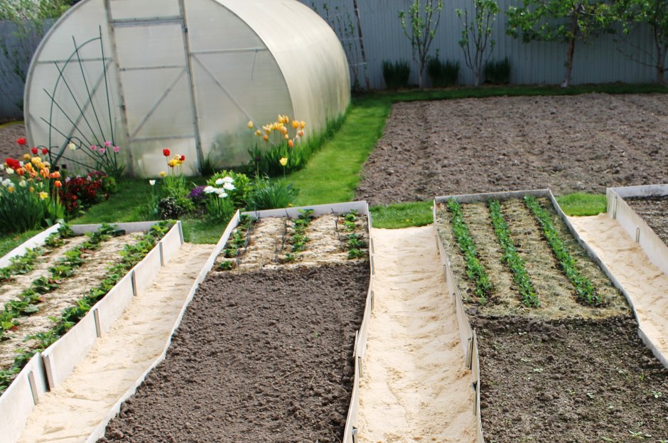 Ограждение грядок в теплице
