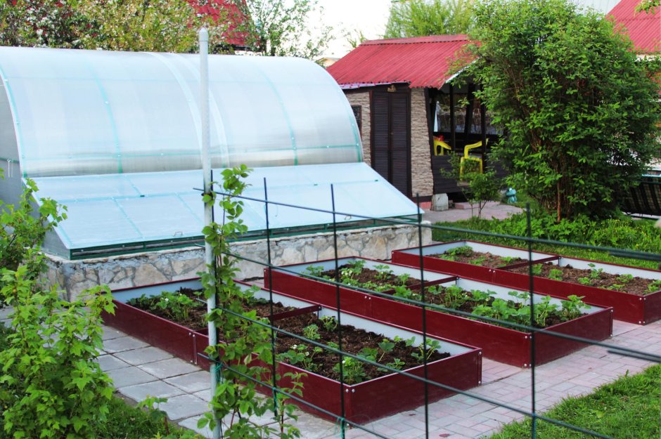 Теплица Анны Эдеи