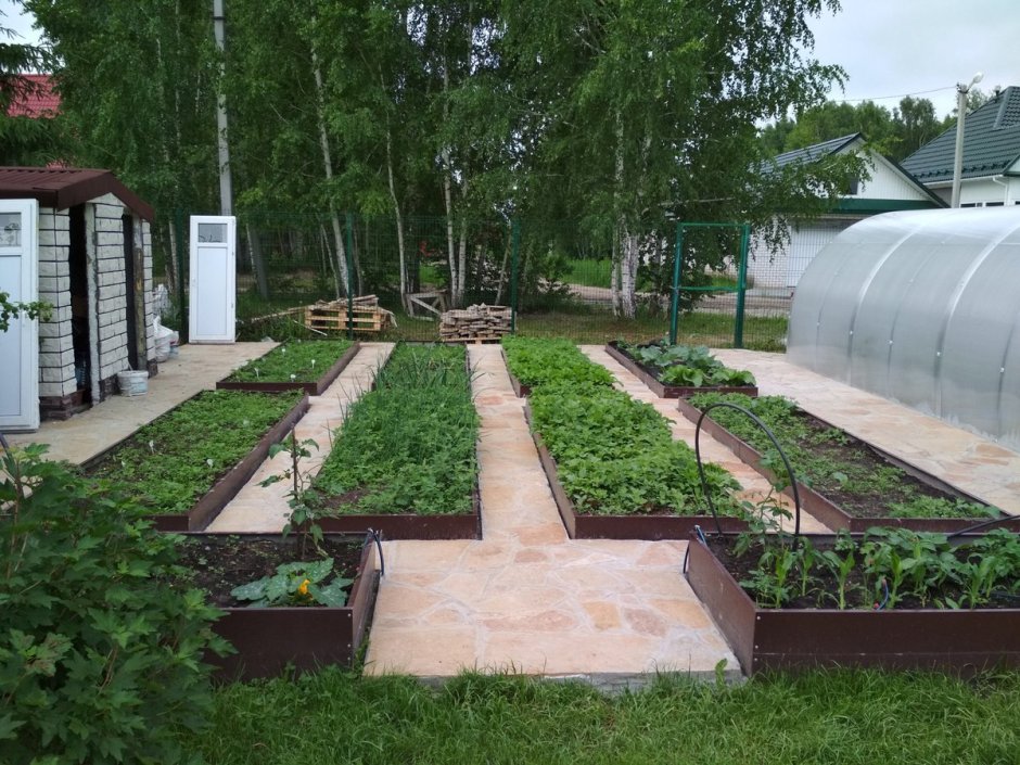 Вокруг теплицы