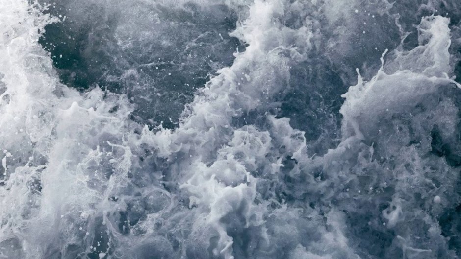 Голубые цветы