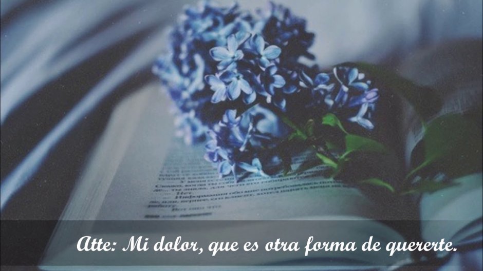 Серо голубая Эстетика природы