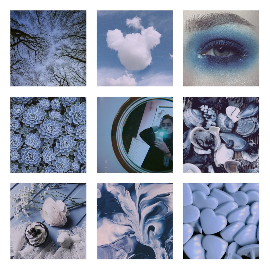 Ракушки Эстетика