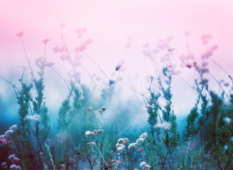 Эстетичная стена в голубых тонах