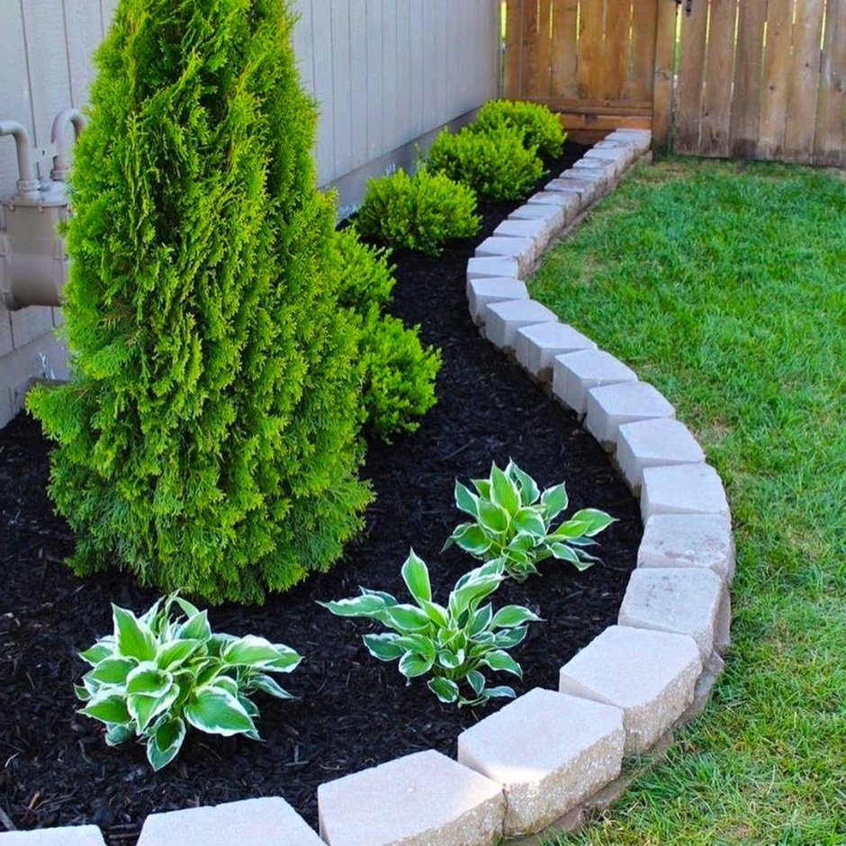 Мульчирование туи Смарагд