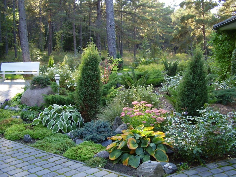 Хвойный миксбордер