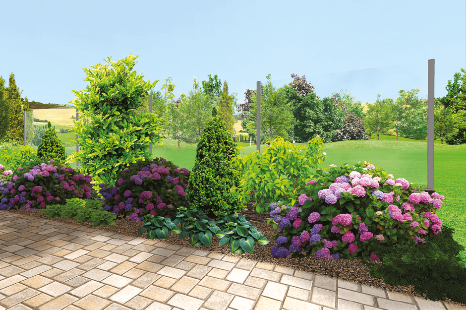 Миксбордер хвойники пионы розы