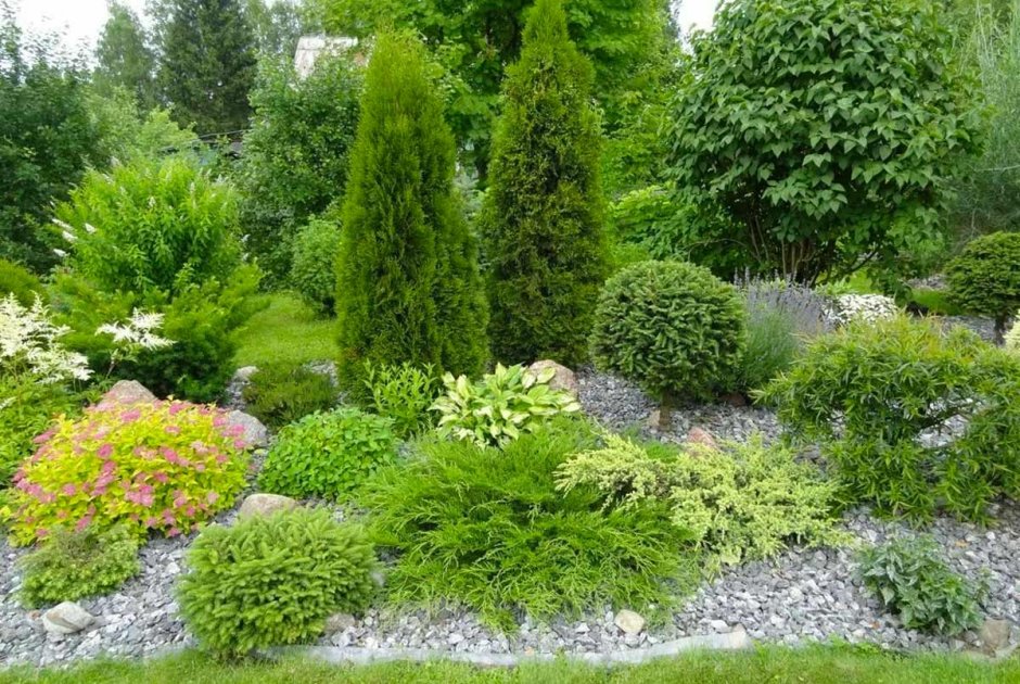 Ель Коника, можжевельник, спирея