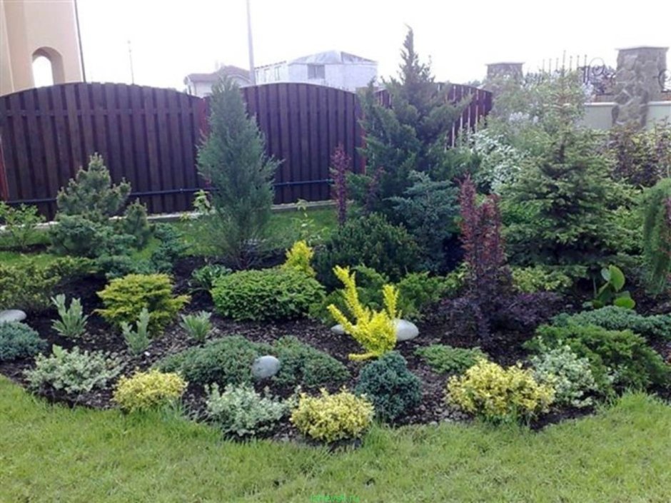 Угловая клумба с хвойными и многолетниками