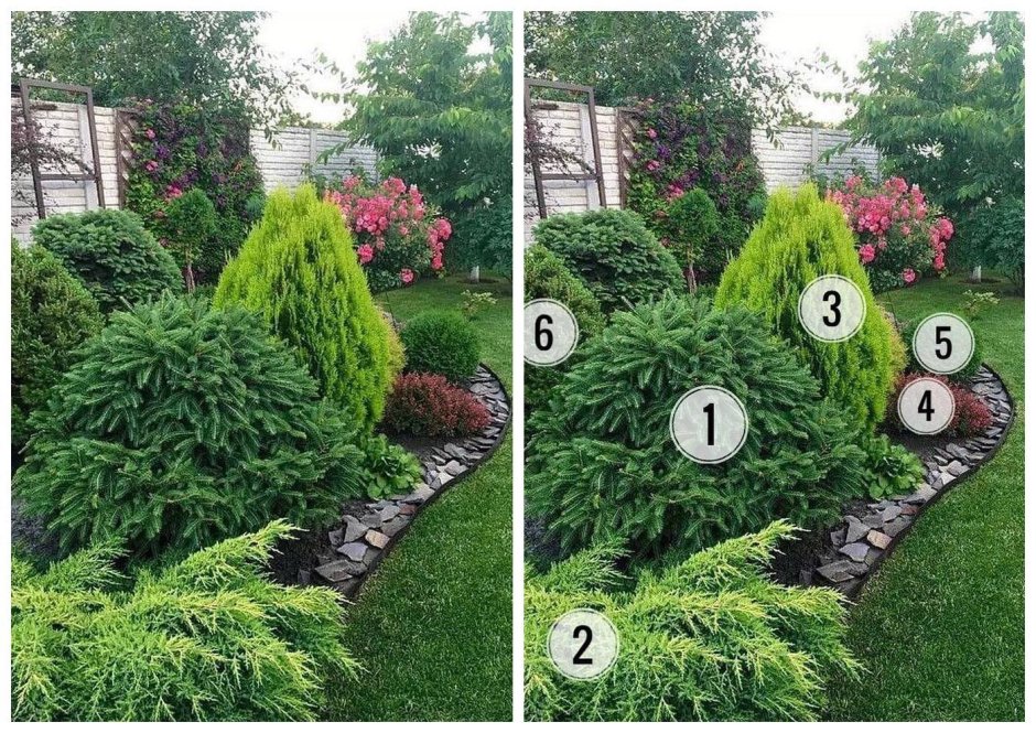 Готовые композиции из хвойников