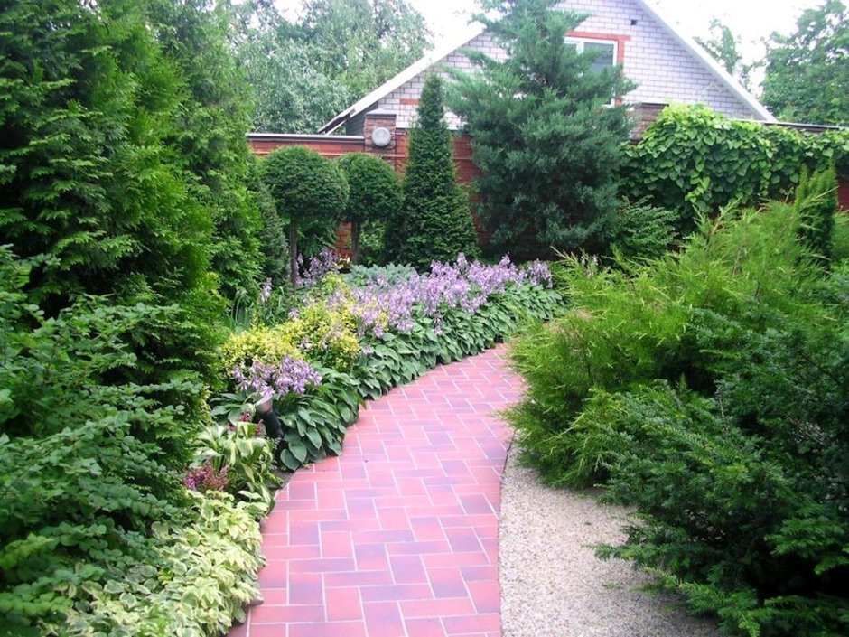 Миксбордер вдоль дорожки с хвойными