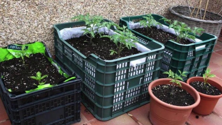 Деревянные клумбы для цветов