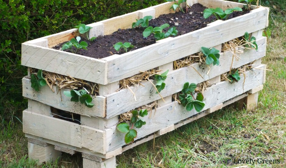 Клумба из паллет