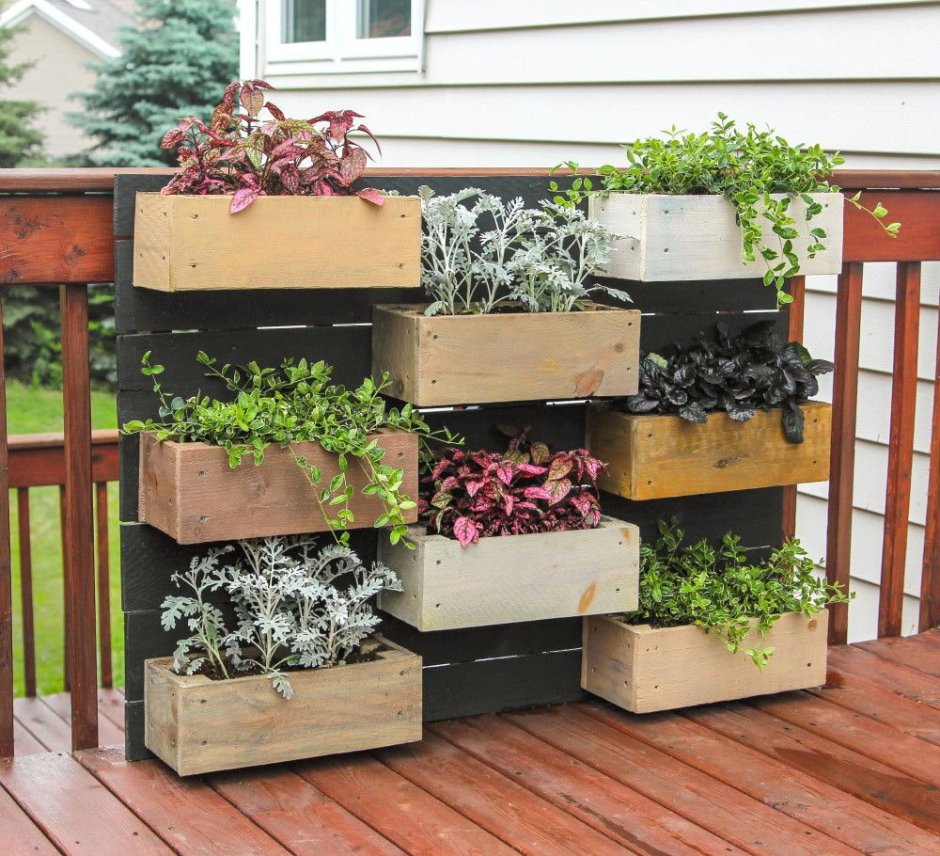 Грядки из пластиковых ящиков