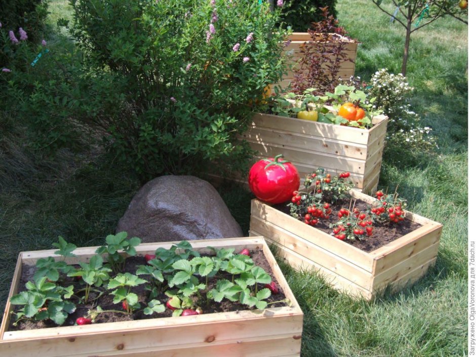 Клумбы из бутылок