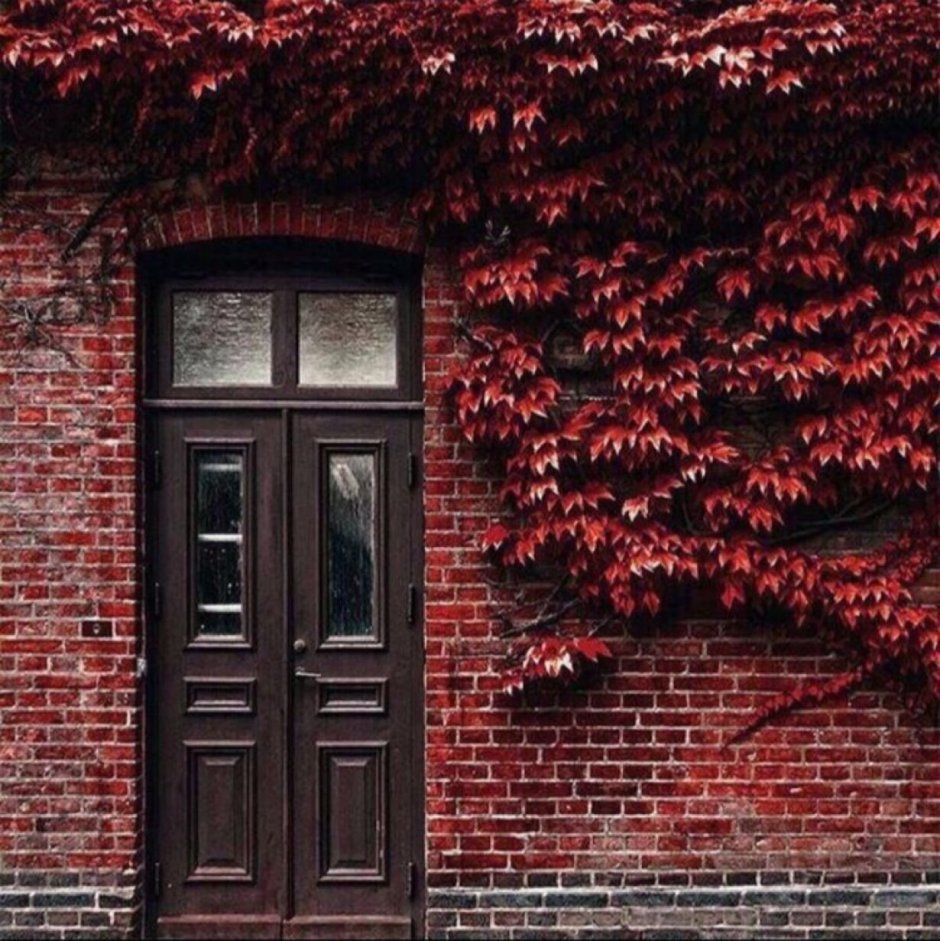 Эстетика красного цвета