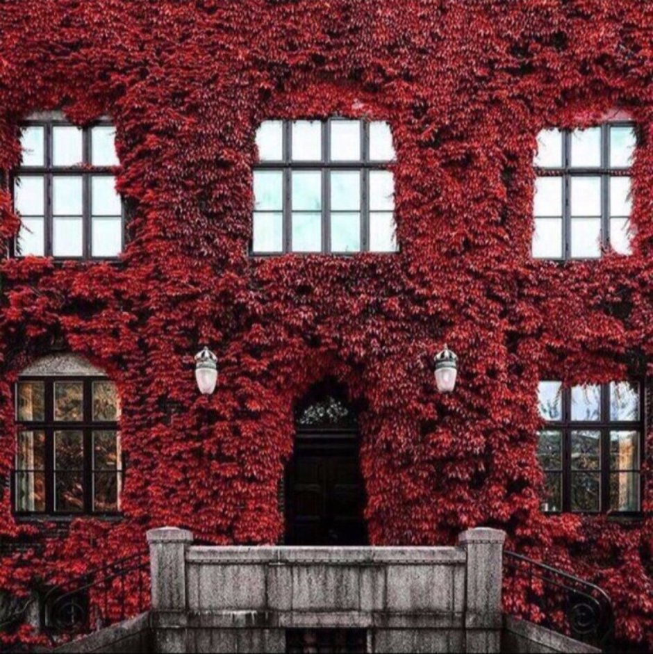 Красное здание