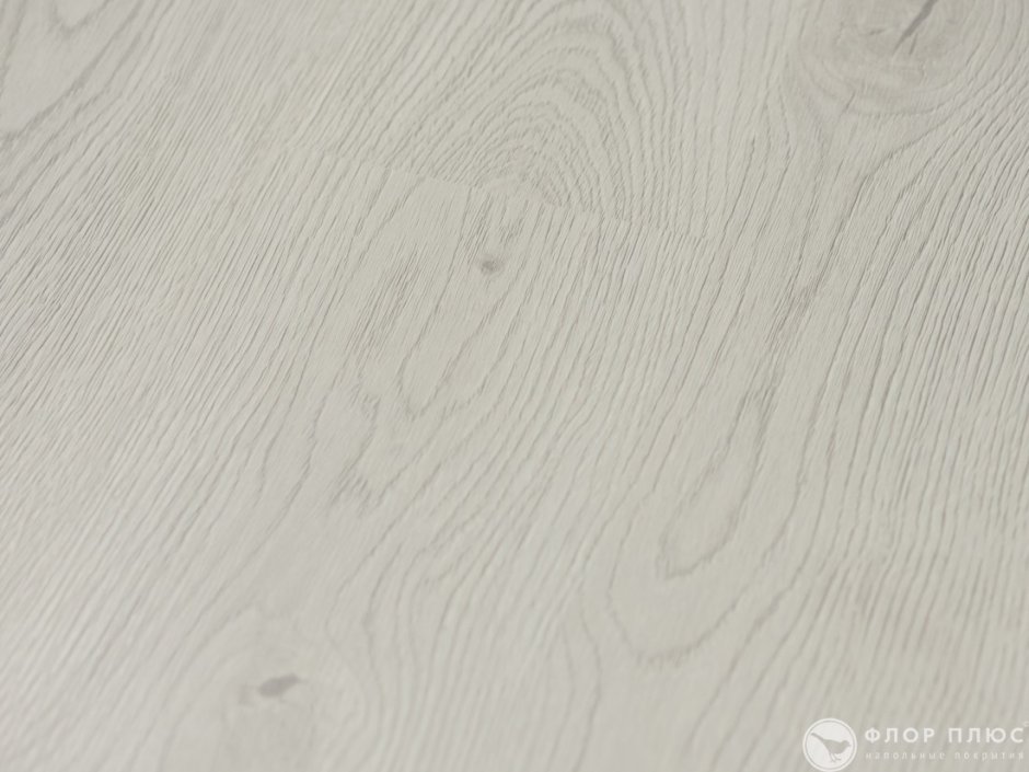 Белое дерево текстура