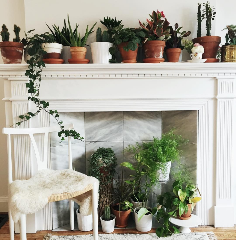 Цветы на декоративный камин