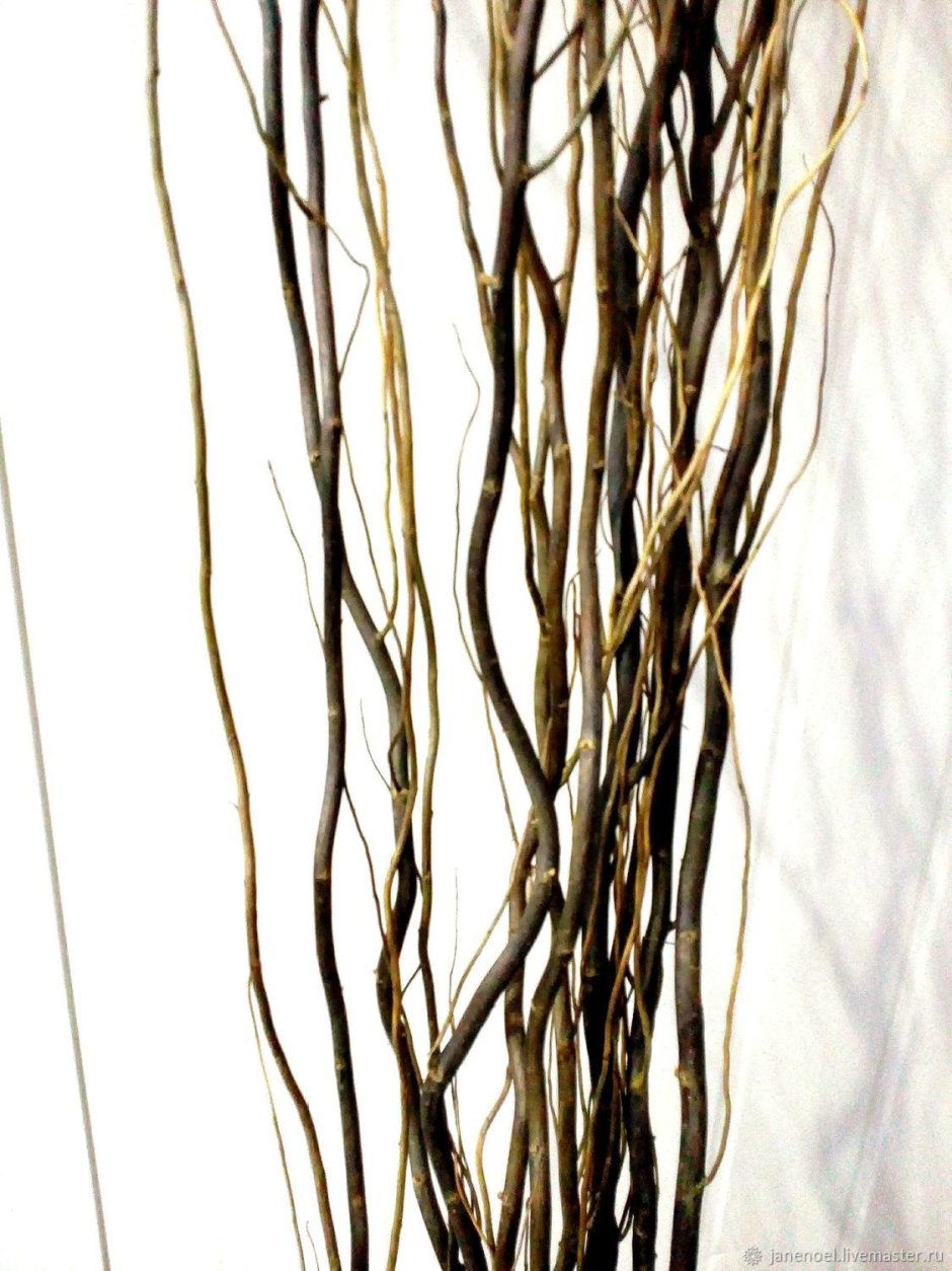 Напольная ваза с ветками