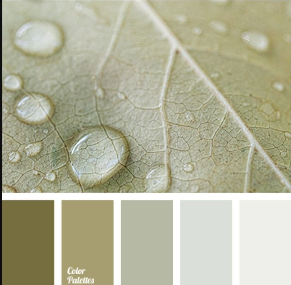 Палитра бежевый зеленый