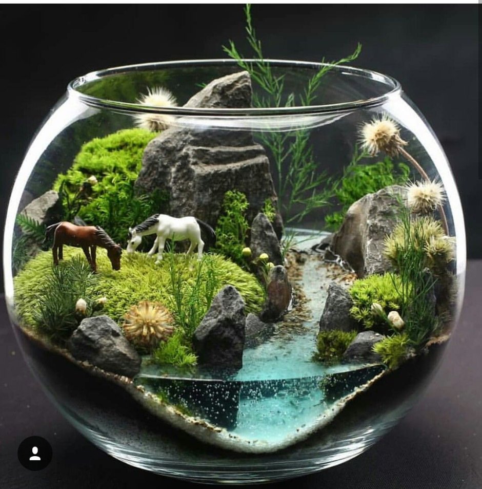 Флорариум с суккулентами и мхом