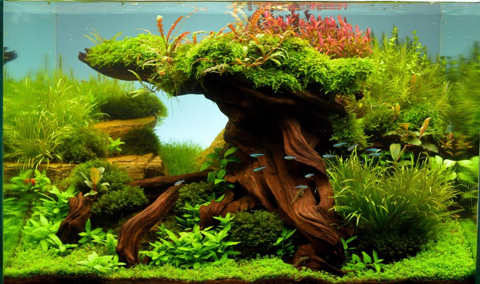 Корабль акваскейп