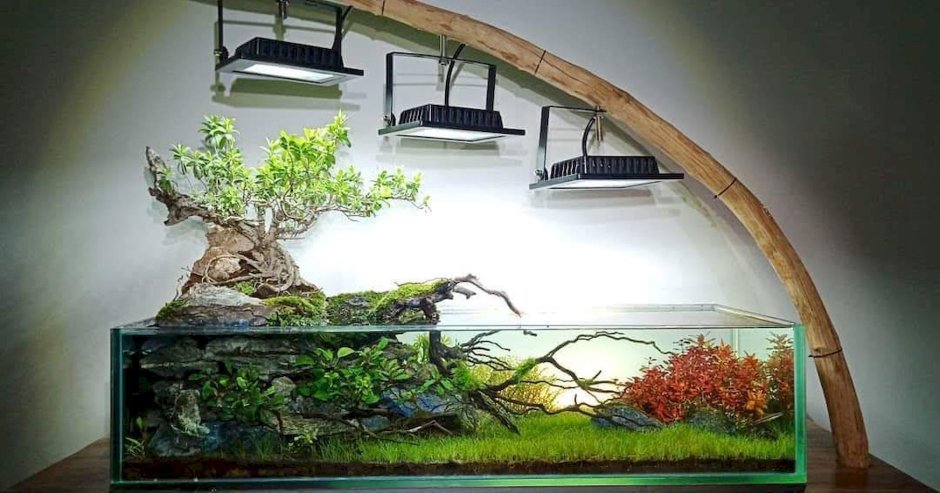 Декорирование аквариума