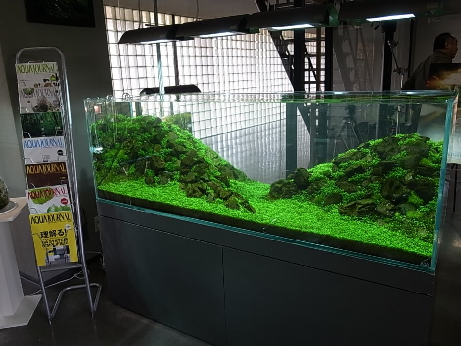 Акваскейп в высоком и узком аквариуме