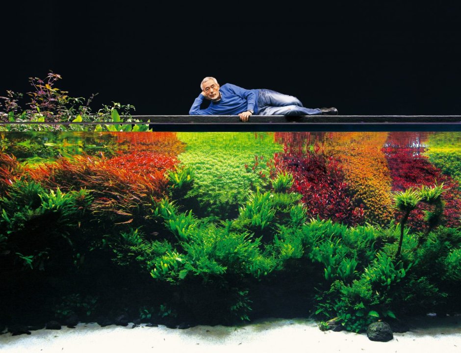 Японский аквариумист Такаши Амано