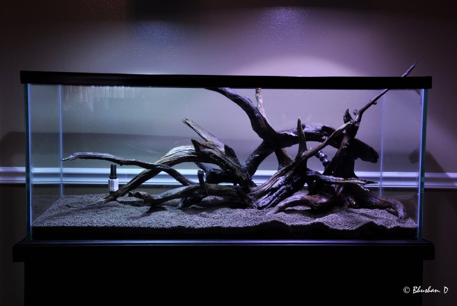 Аквариум с черным грунтом