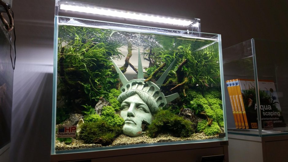 Аквариумы Оливера Кнотта