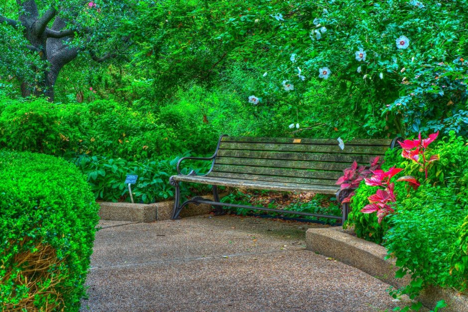 Аллея в саду