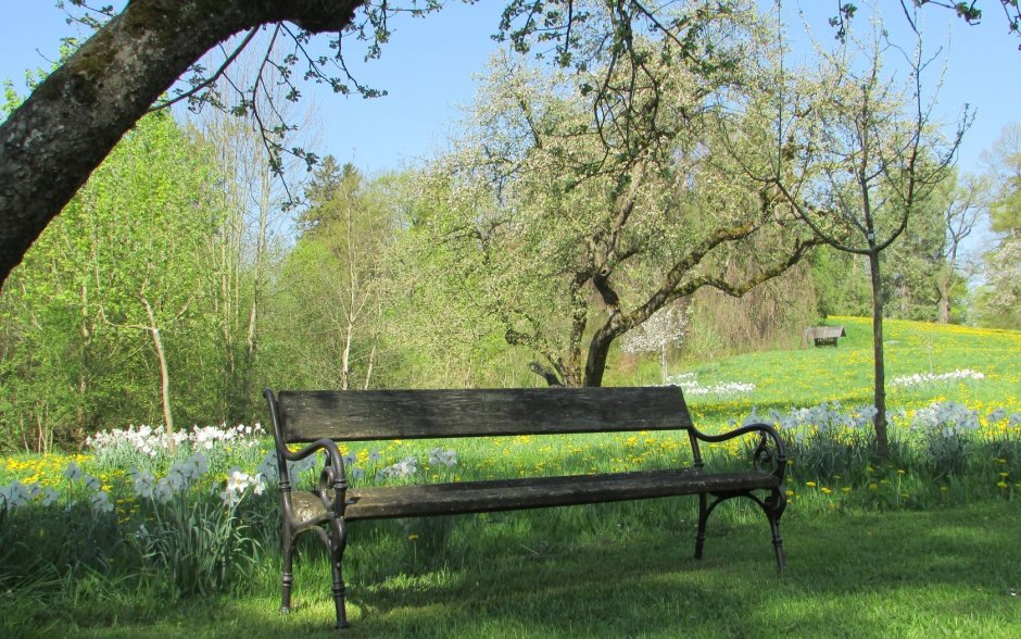 Шишкин скамейка в аллее