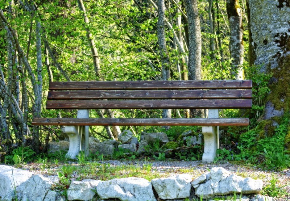 Нальчик парк лавочка