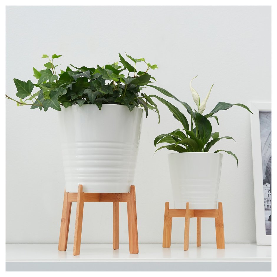 Кашпо Мускат икеа