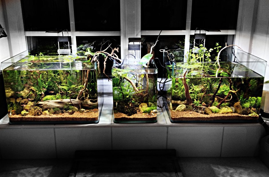 Каскадный аквариум фото