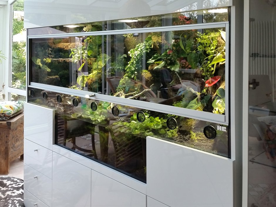 Аквариум палюдариум растения