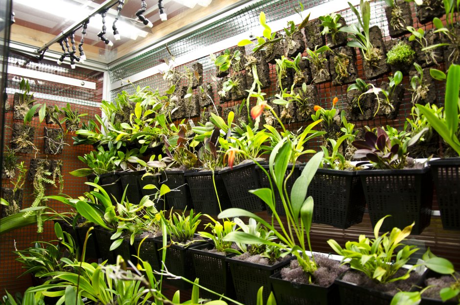 Террариум комнатный виварии