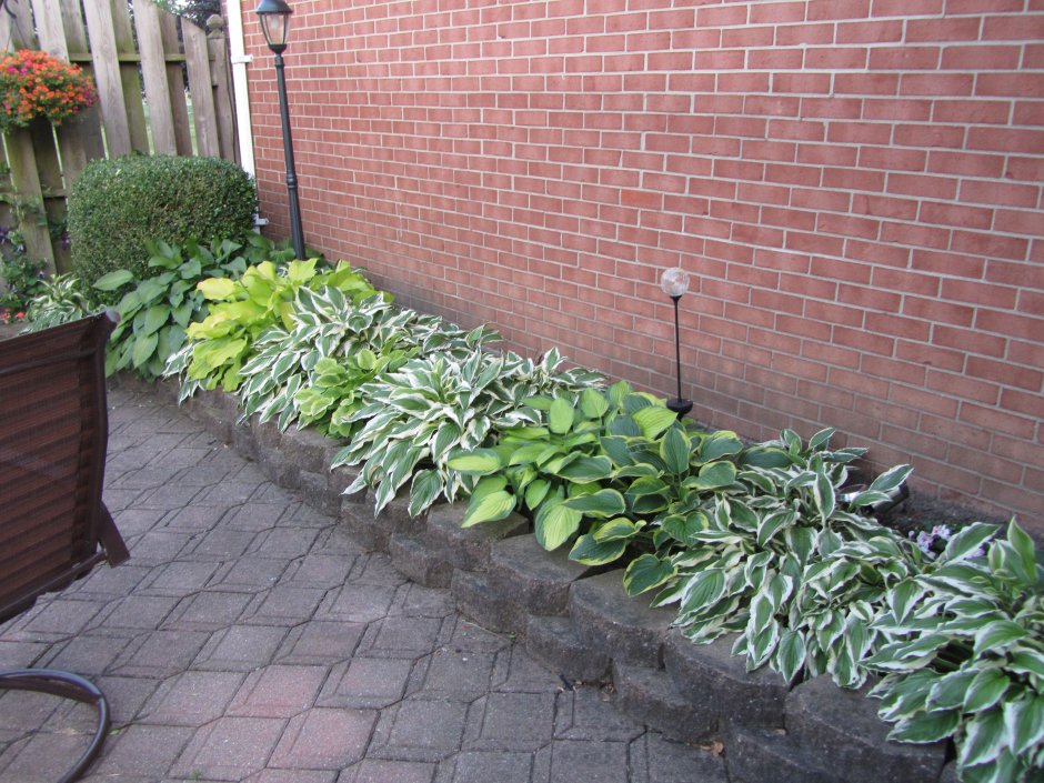 Цветник около забора