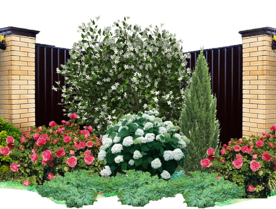 Миксбордер вдоль террасы