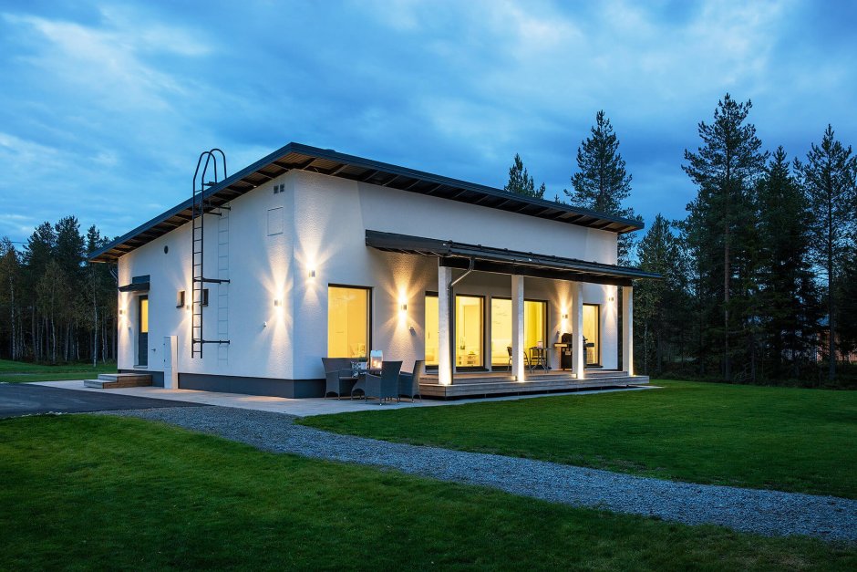 Большой дом с односкатной крышей в скандинавском стиле