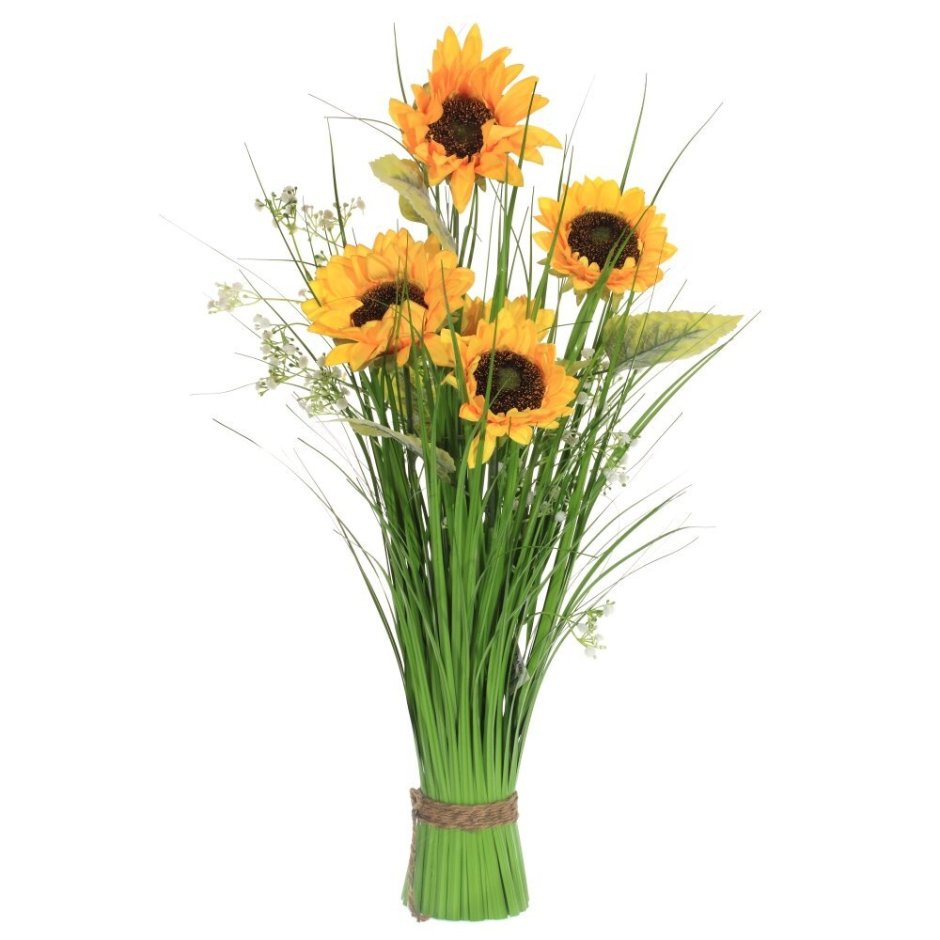 Фотообои Подсолнухи