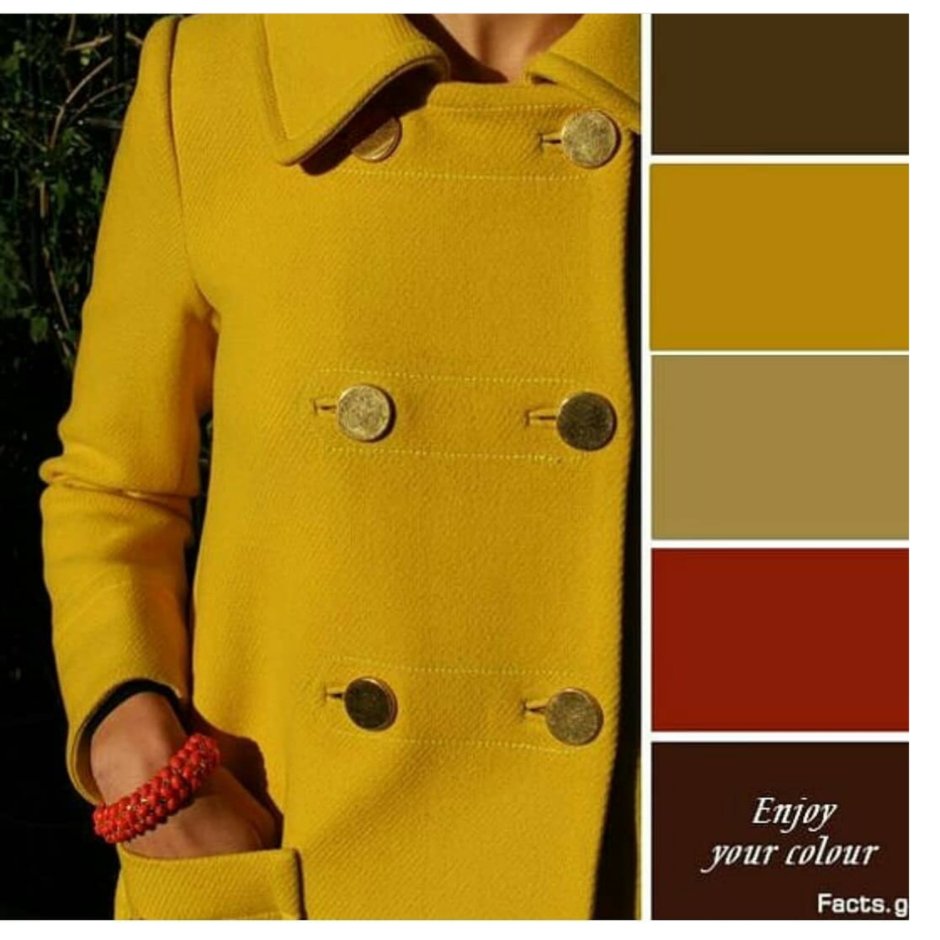 Горчичный цвет сочетание